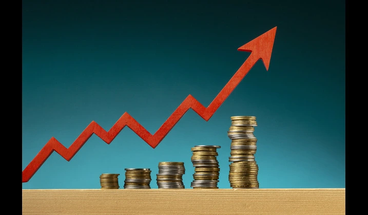 Significance of Multibagger Stocks